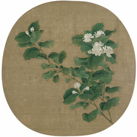 茉莉花图