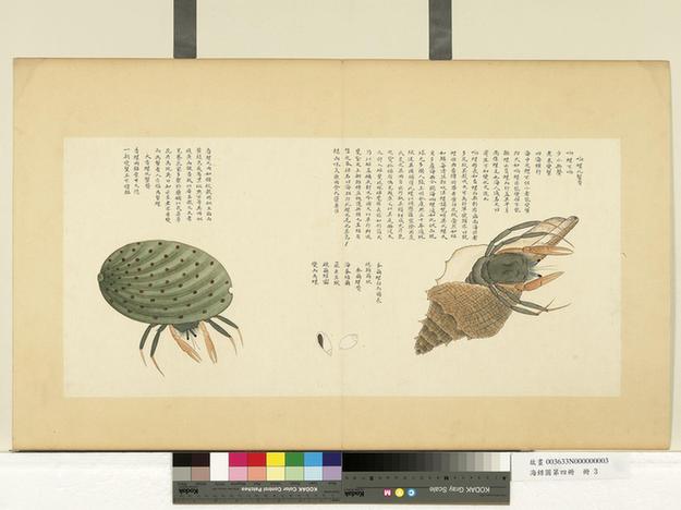 海错图第四册-12