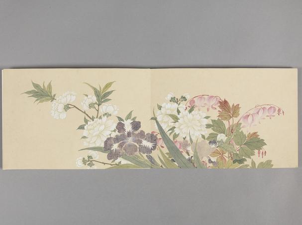 花卉册