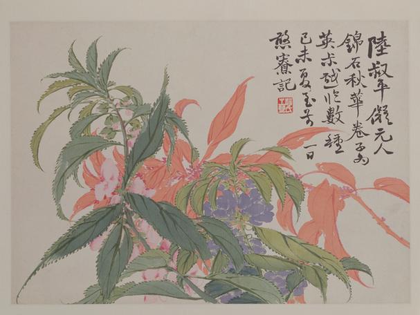 花卉册-秋花页