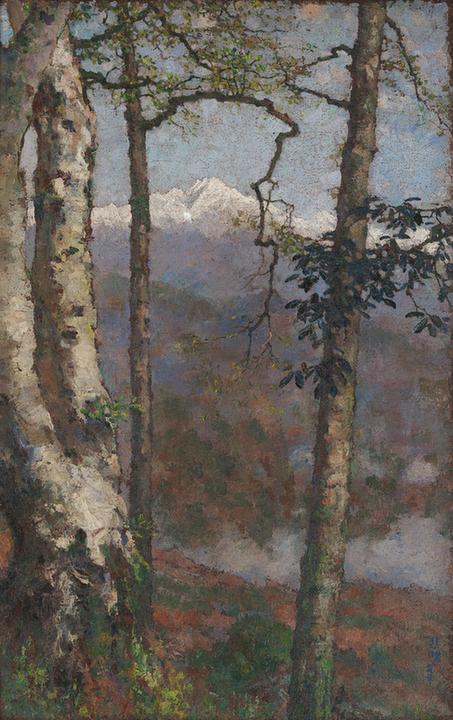 喜马拉雅山之林