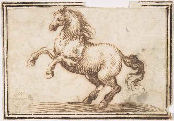 attributed to Francesco Allegrini--Horse6