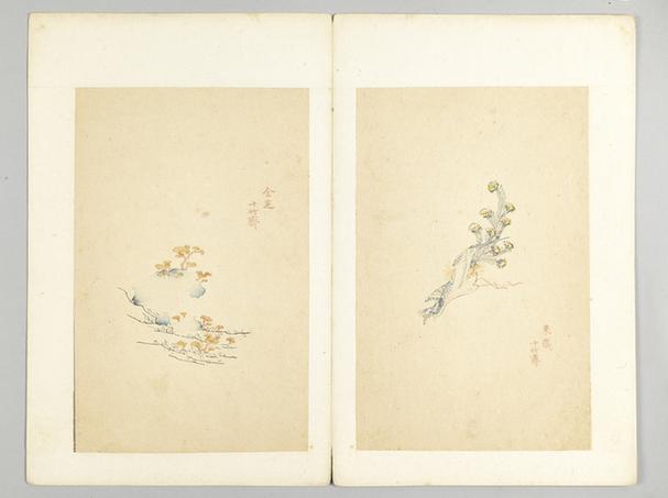 十竹斋五色笺谱册