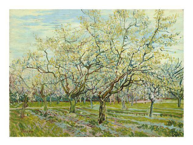 The white orchard (April - )