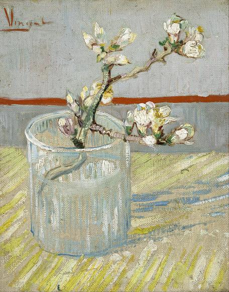 Sprig of flowering almond in a glass (March - )