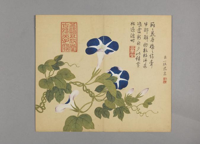 邹一桂花鸟草虫图册