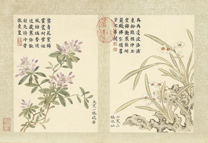 二十四番花信风图-瑞香与水仙