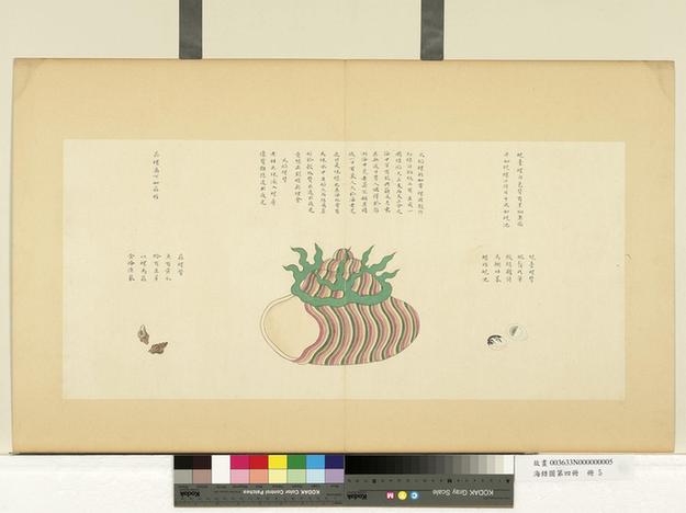 海错图第四册-5