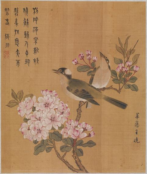 花鸟图页