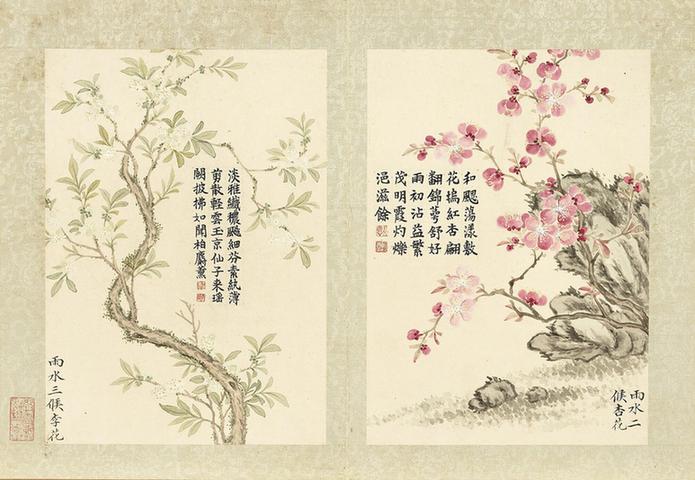 二十四番花信风图-李花与杏花