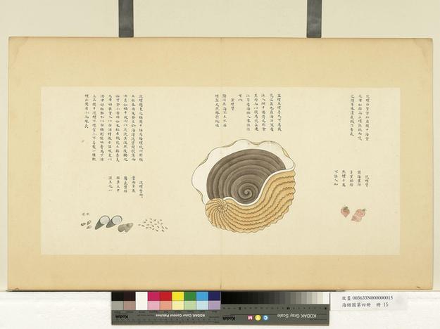 海错图第四册-7