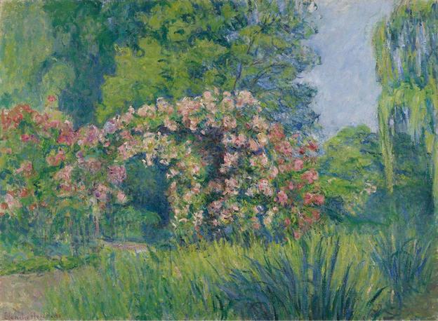 Giverny, the Rosarium of Monet