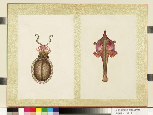 宣统御览海怪图记-4