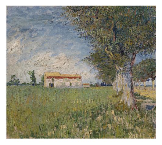 Farmhouse in a wheatfield