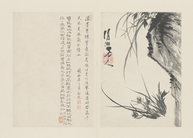 原济兰竹册－兰石