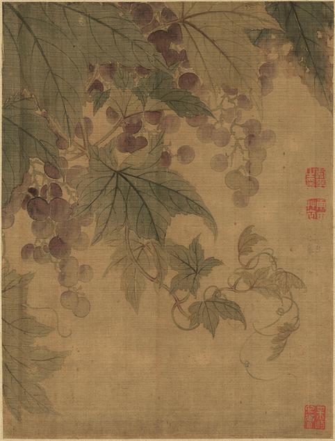 恽寿平花果蔬菜册页-3