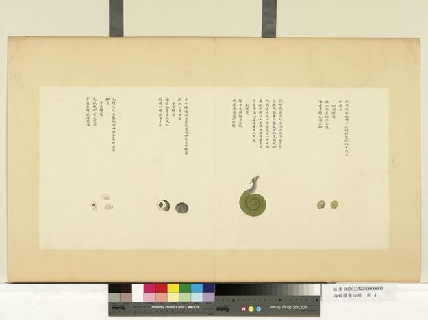 海错图第四册-11