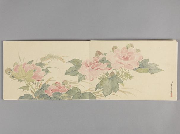 花卉册