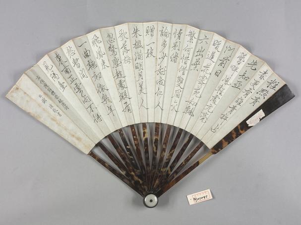 玳瑁股书画折扇