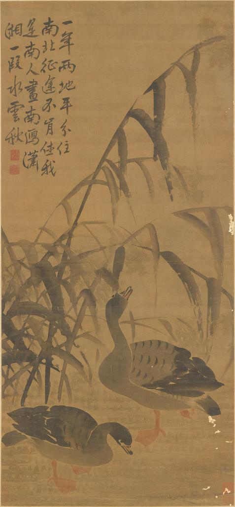 芦雁图轴