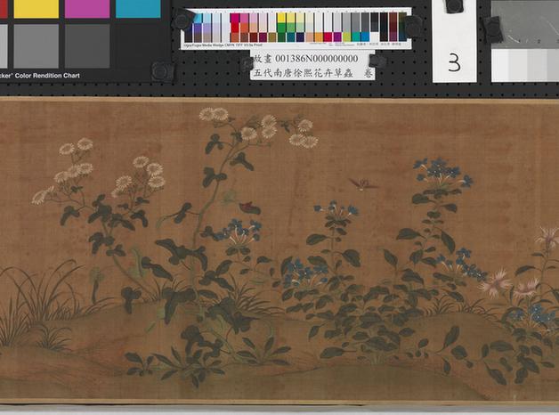 五代南唐花卉草虫卷