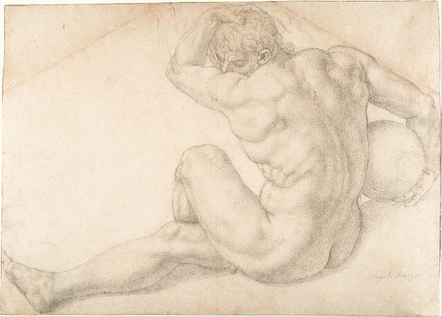 Bronzino--Seated Male Nude (Study for the Martyrdom of St. Lawrence)