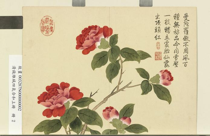 画四气含和上册册山茶