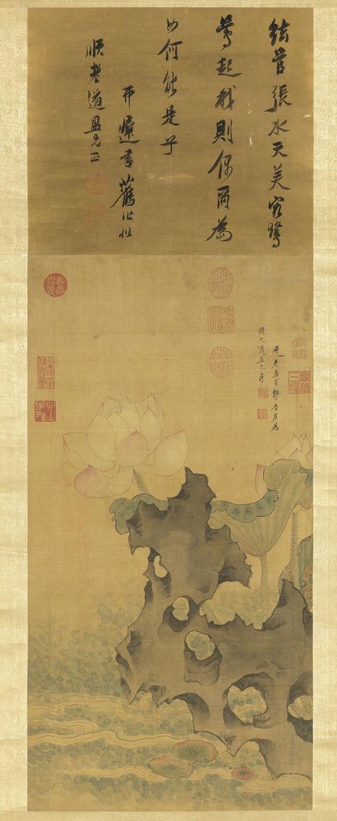 荷花图