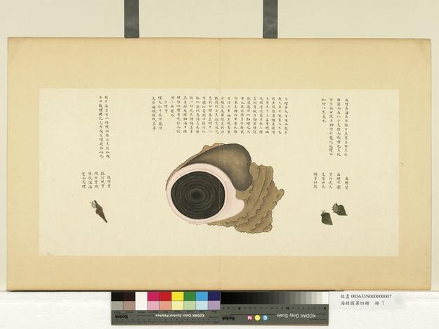 海错图第四册-2