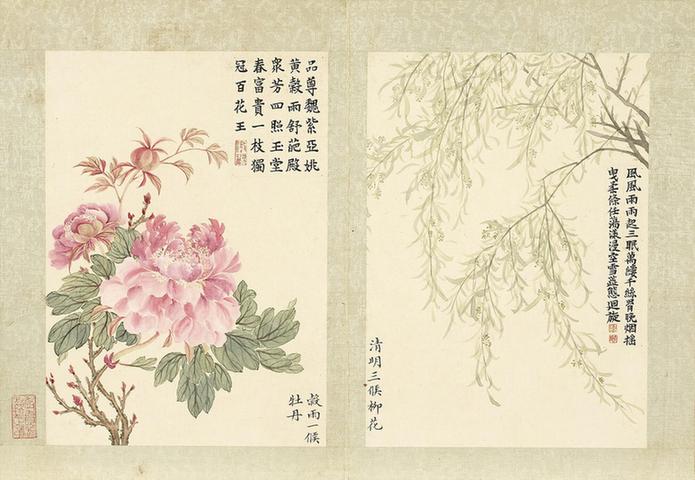 二十四番花信风图-牡丹与柳花