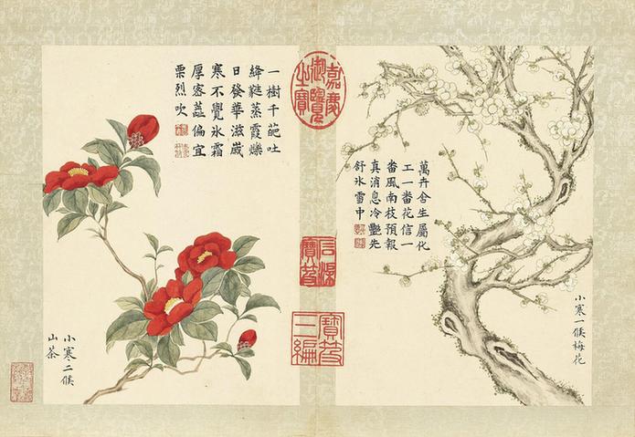 二十四番花信风图-山茶与梅花