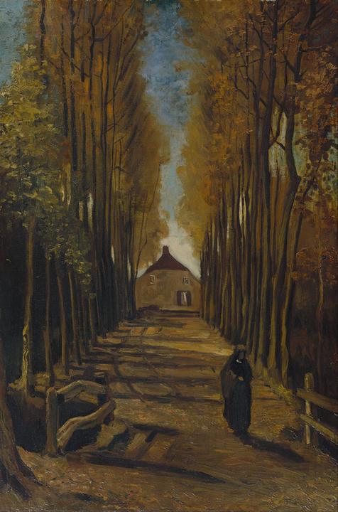 Avenue of poplars in autumn (October - )