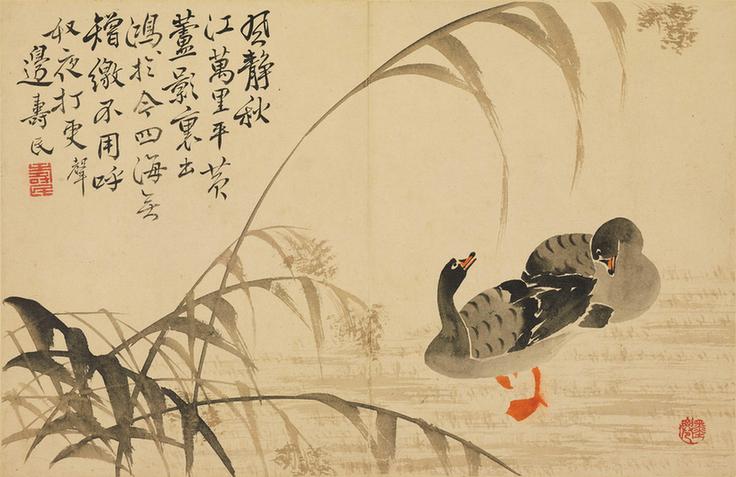 芦雁图册