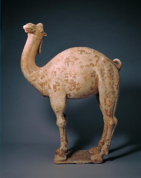陶骆驼