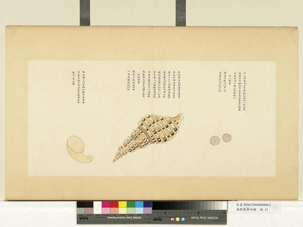 海错图第四册-6