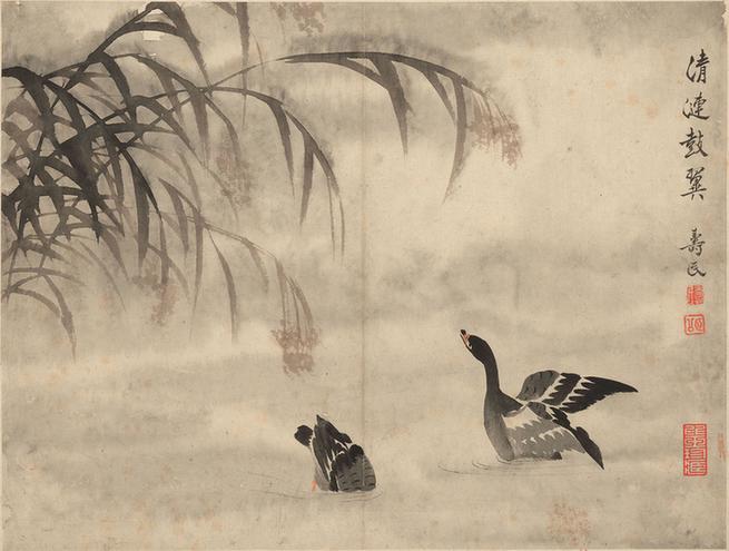 芦雁图册页