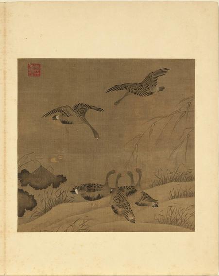 无款荷雁图-花鸟