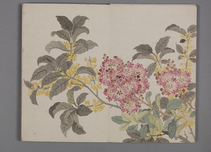 董诰延春荟彩图册