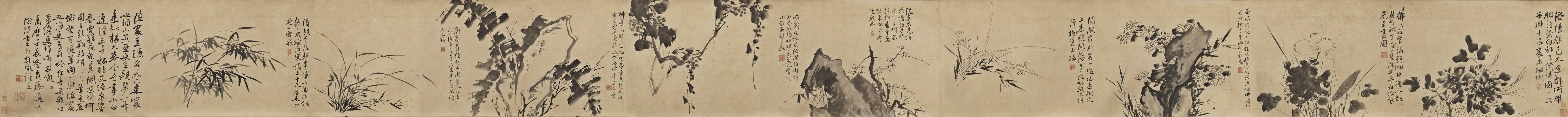 墨花九段图卷