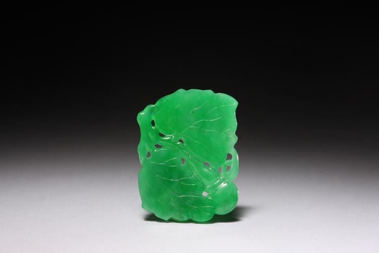 翠带叶葫芦背云