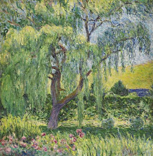 Giverny, Willow and Roses