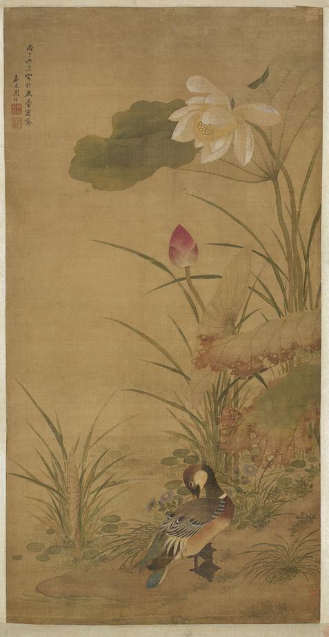 花鸟图