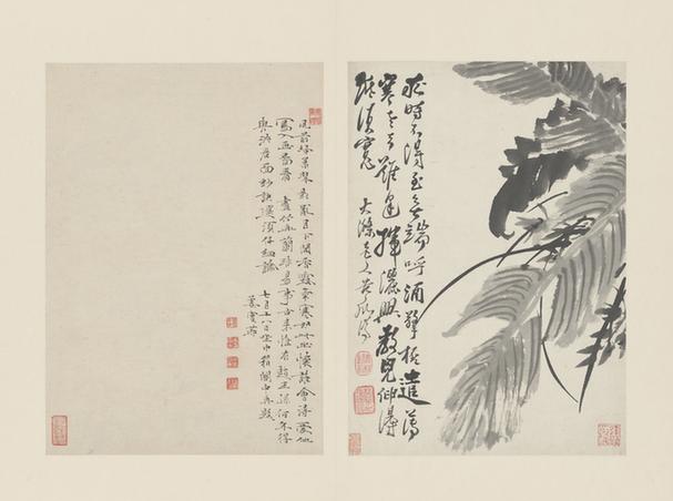 原济兰竹册－蕉叶兰草