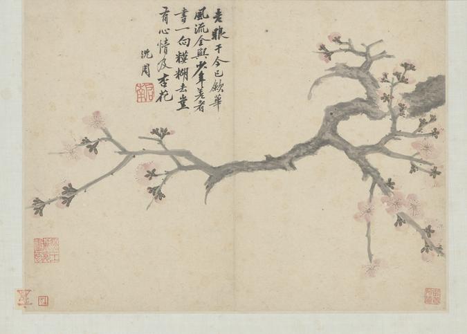 卧游图册－杏花