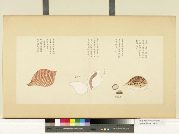 海错图第四册-9