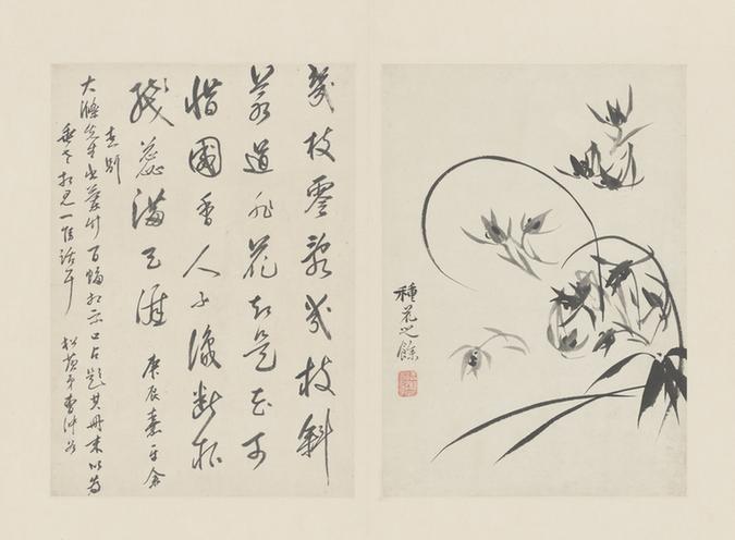 原济兰竹册－兰花