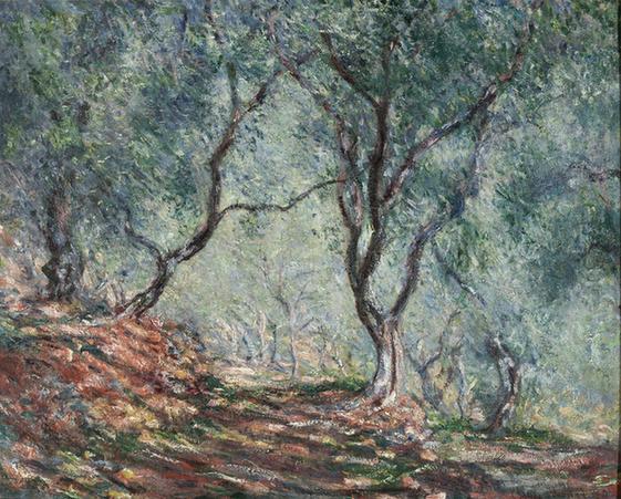 Olive Tree Wood in the Moreno Garden, 1884