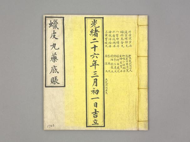 《蜡皮丸药底账》