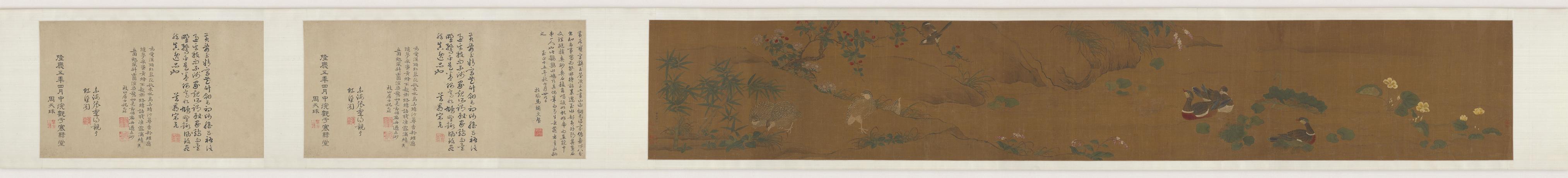 写生鹌鹑水鸠图卷