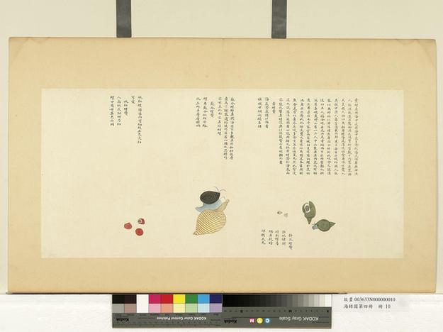 海错图第四册-14